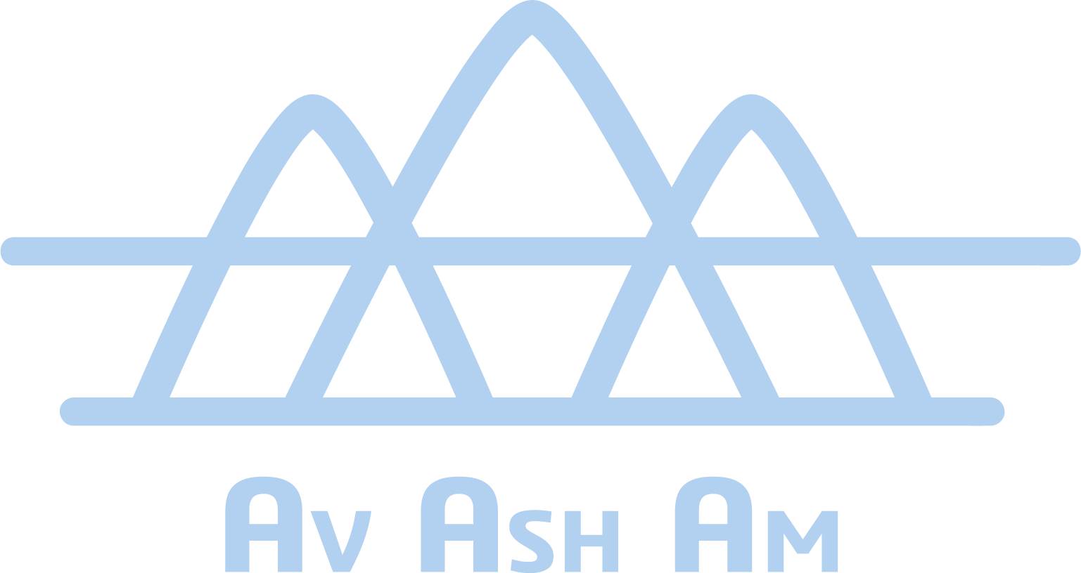 AvAshAm Gloves